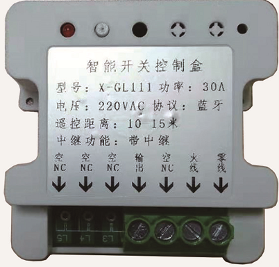 BLE Switch (30A)